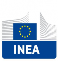 Innovation and Networks Executive Agency (INEA)