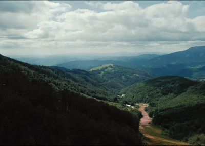 Bajka o panonskom cvrčku